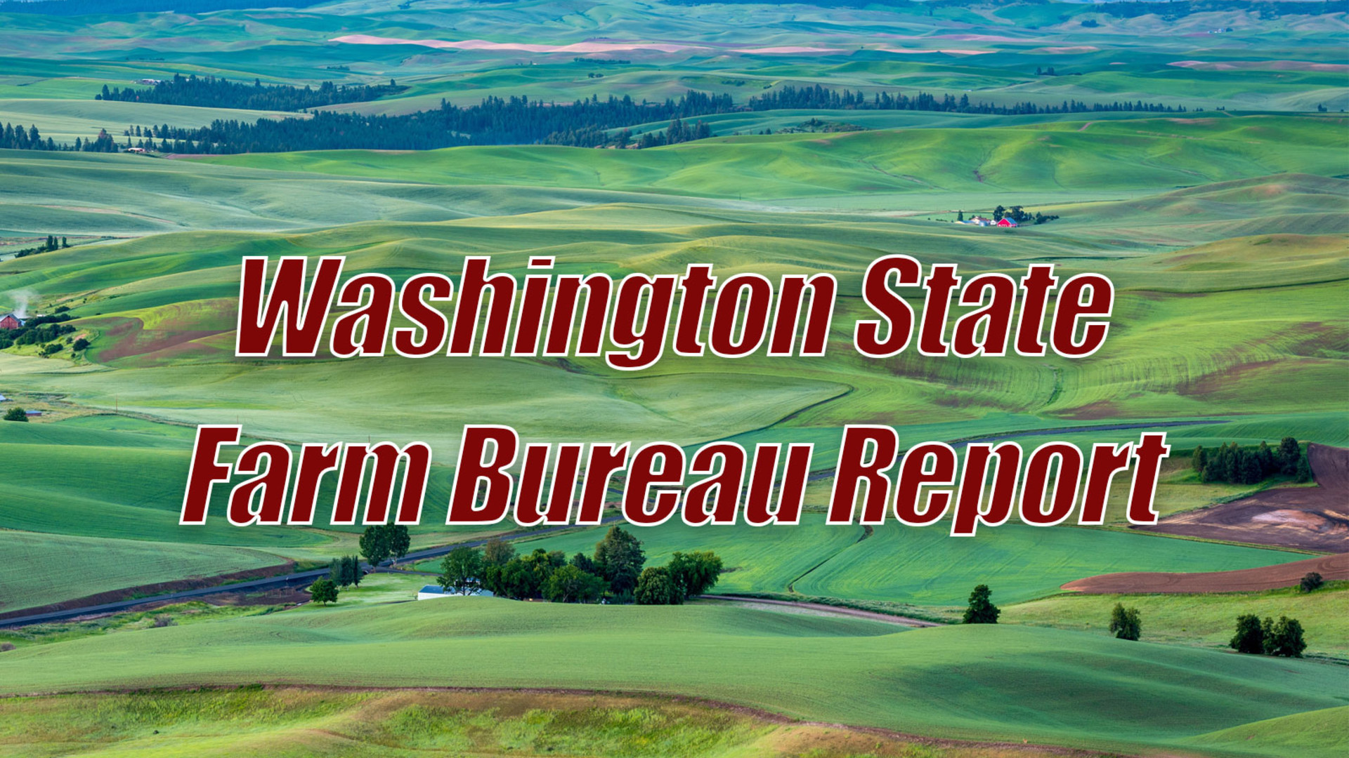 Washington State Farm Bureau Report